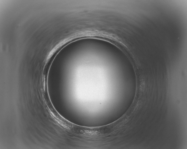 X0000086111509200703231447
