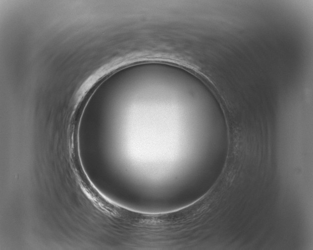 X0000086111511200703231447
