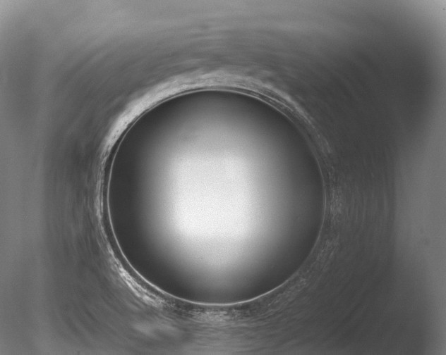 X0000086111512200703231447