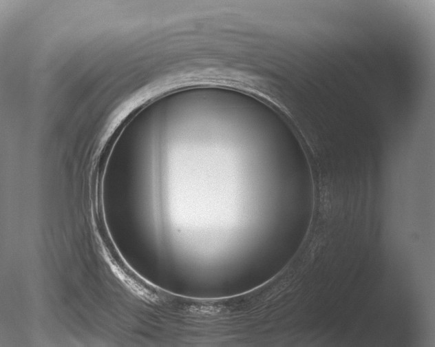 X0000086111515200703231447