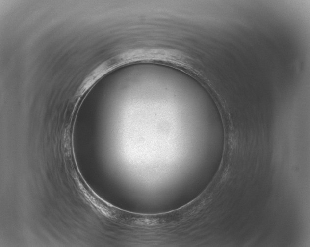 X0000086111521200703231448