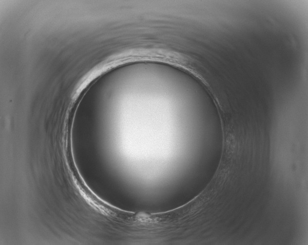 X0000086111523200703231448