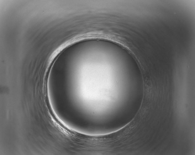 X0000086111527200703231448