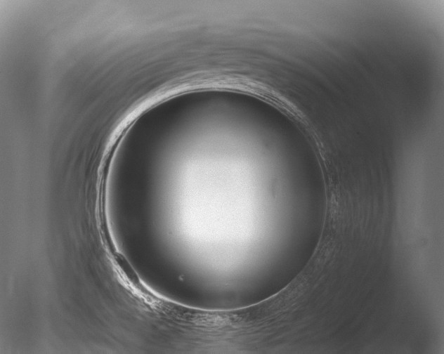 X0000086111528200703231448