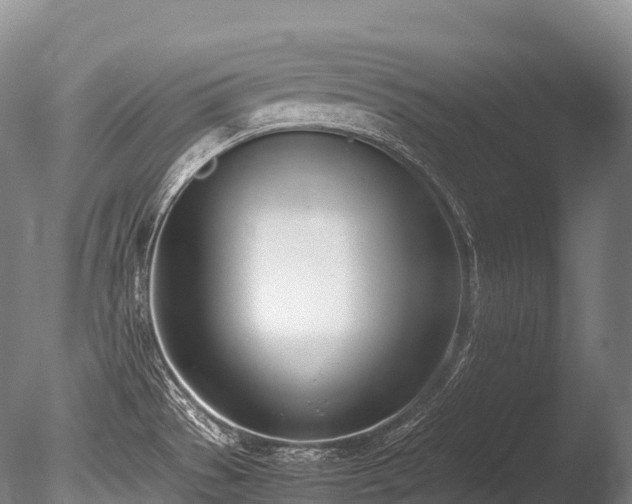 X0000086111529200703231448