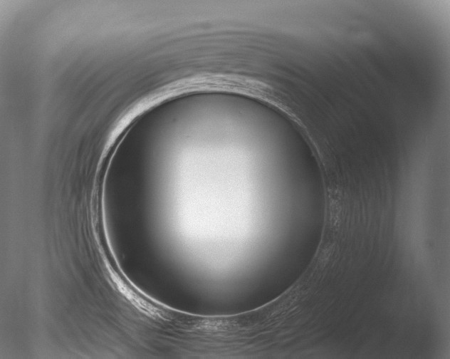X0000086111531200703231448