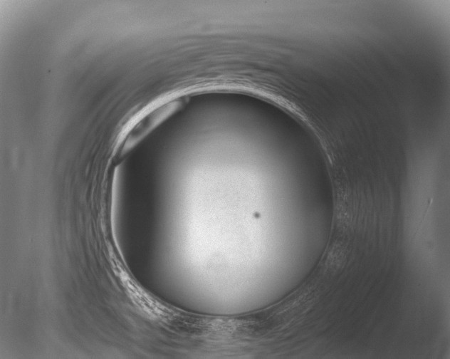 X0000086111534200703231448