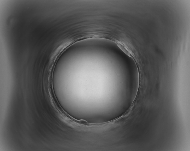 X0000086110001200703301247