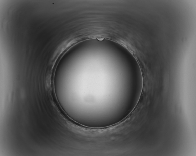 X0000086110002200703301247