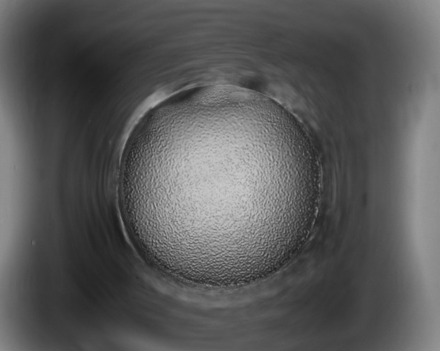 X0000086110003200703301247