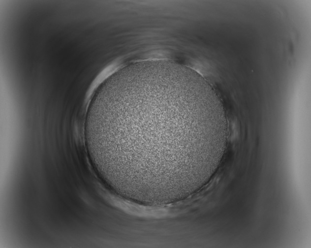 X0000086110004200703301247