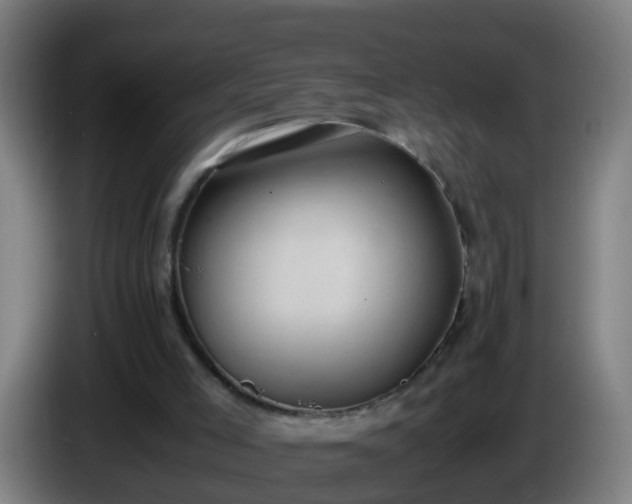 X0000086110005200703301247