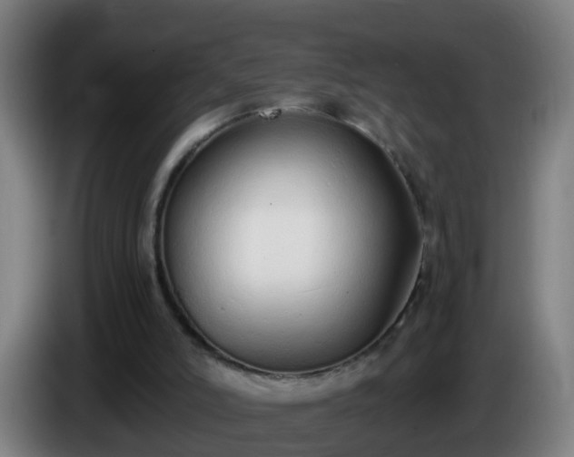 X0000086110006200703301247