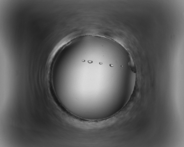 X0000086110007200703301247