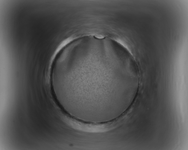 X0000086110008200703301247