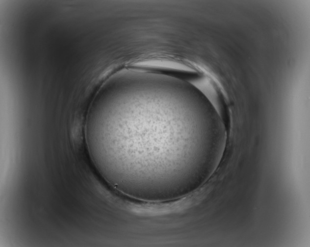 X0000086110009200703301247