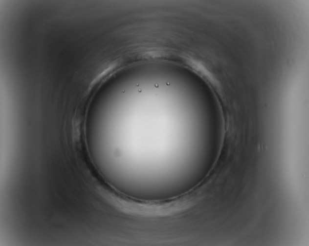 X0000086110010200703301247