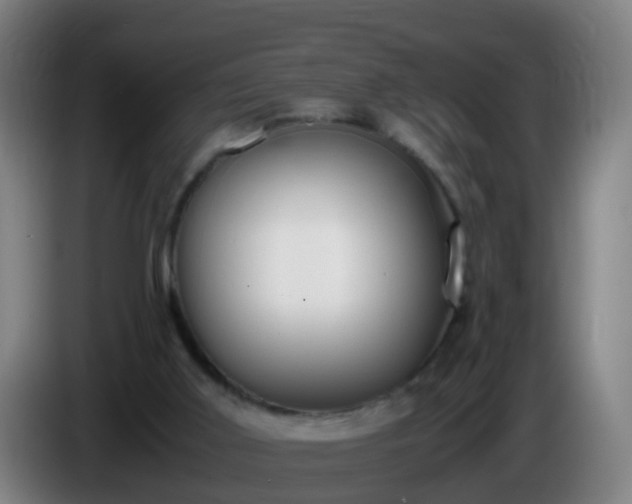 X0000086110011200703301247