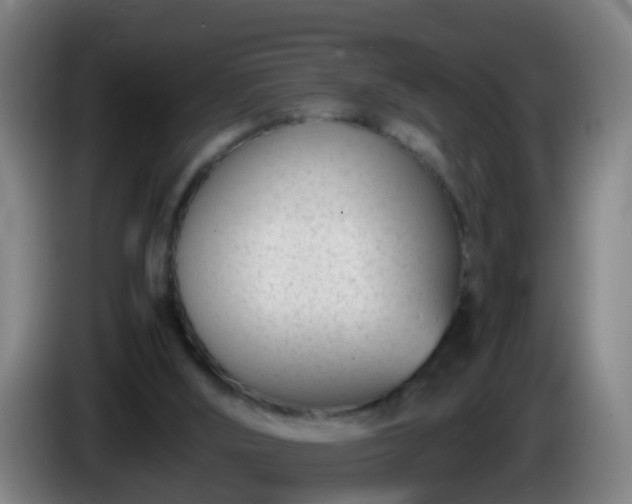 X0000086110012200703301247