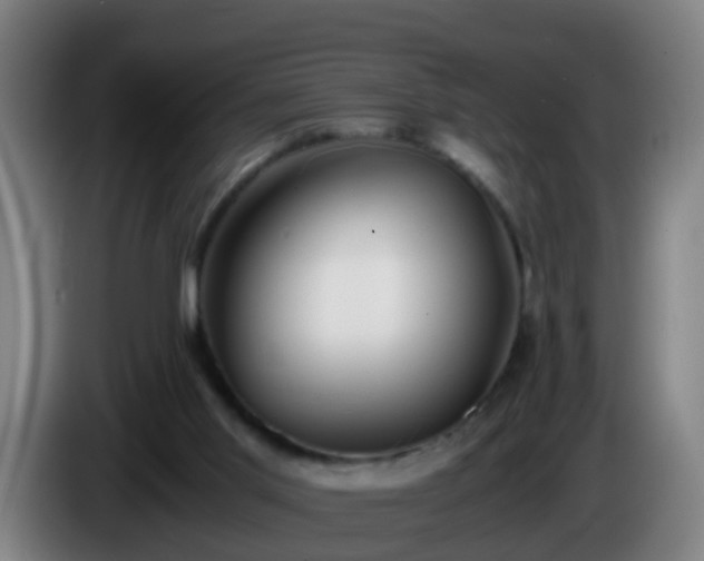 X0000086110013200703301247