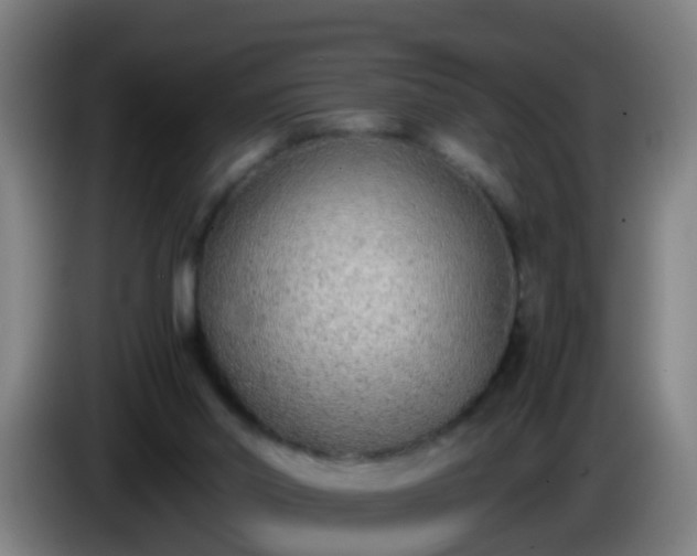 X0000086110014200703301247