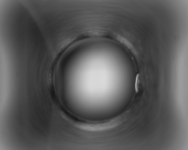 X0000086110017200703301247