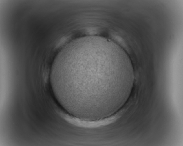 X0000086110018200703301247