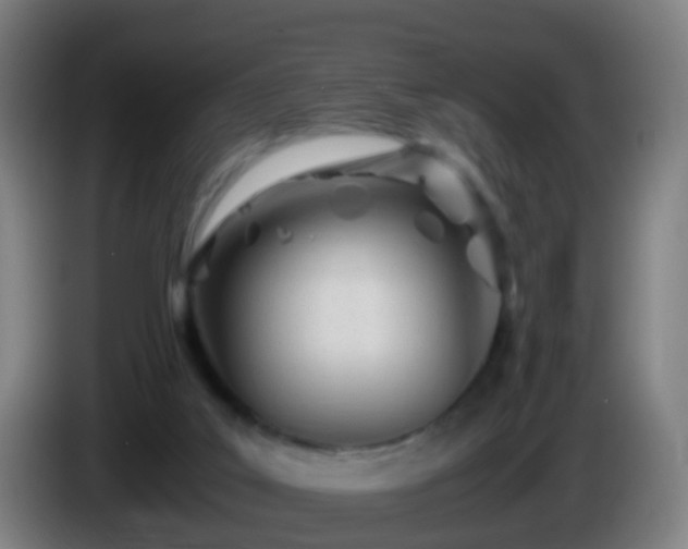 X0000086110019200703301247