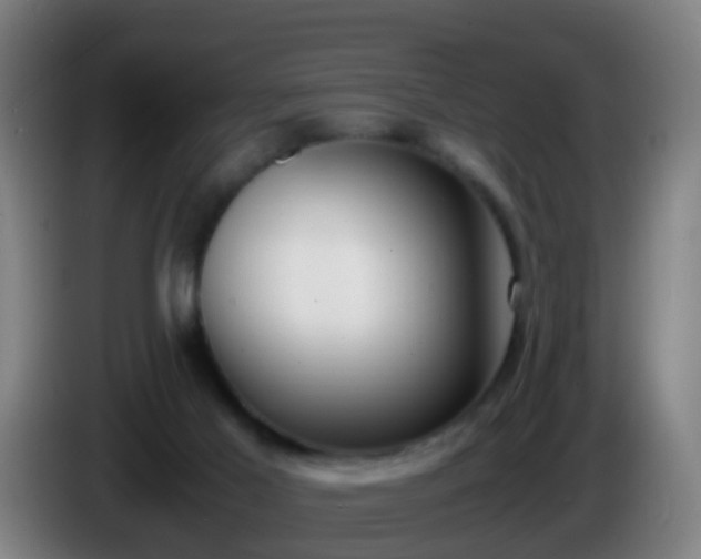 X0000086110021200703301247