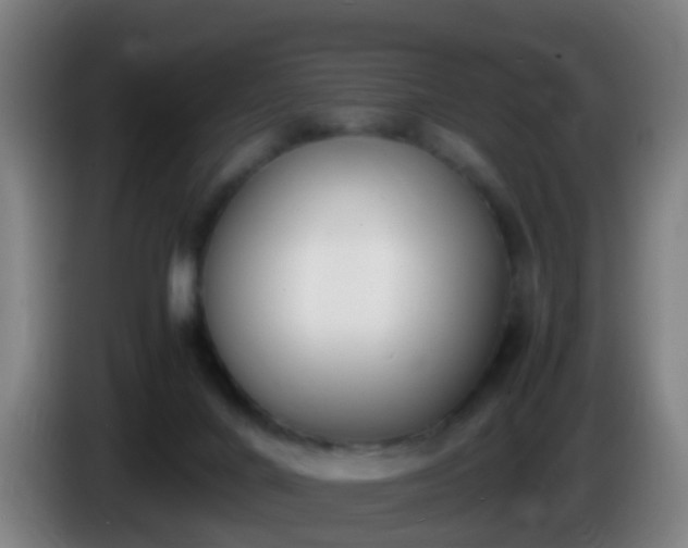 X0000086110024200703301247