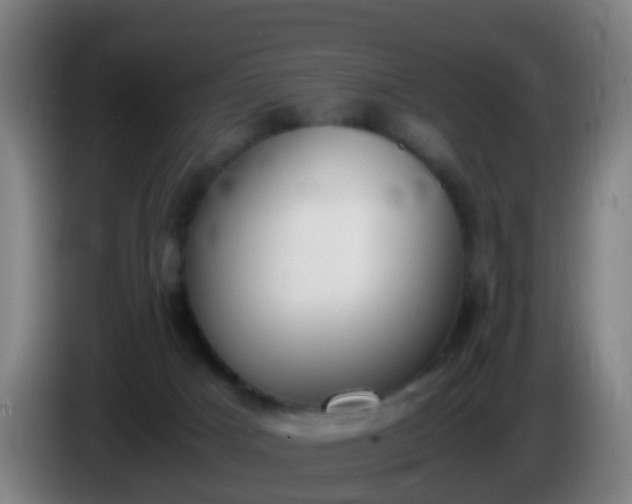 X0000086110025200703301247