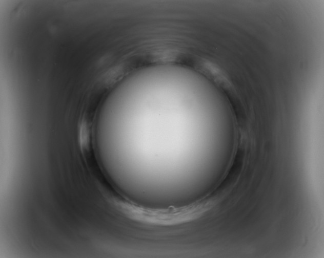 X0000086110026200703301247