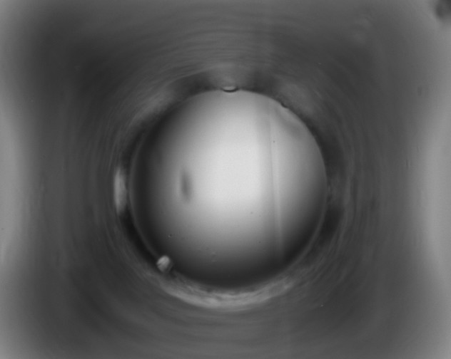 X0000086110027200703301247