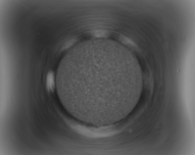 X0000086110028200703301247