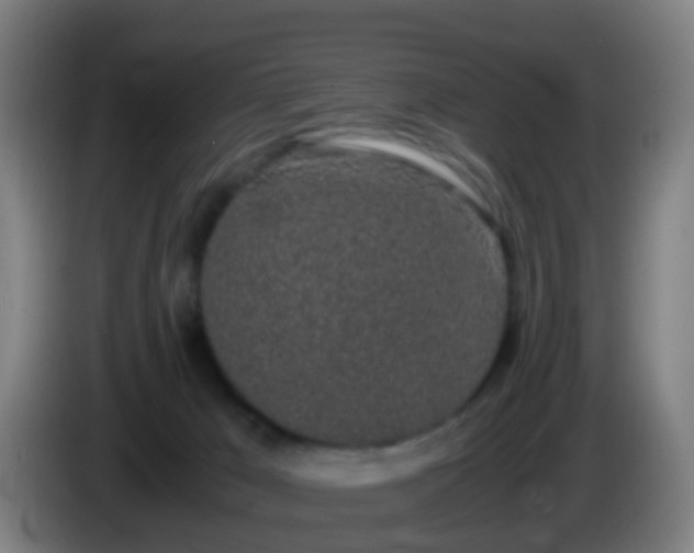 X0000086110029200703301247