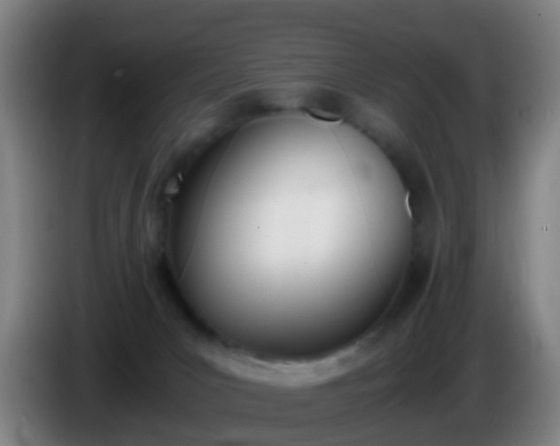 X0000086110031200703301247