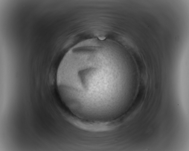 X0000086110032200703301247