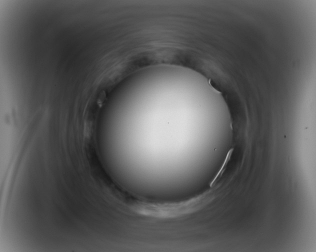 X0000086110033200703301246