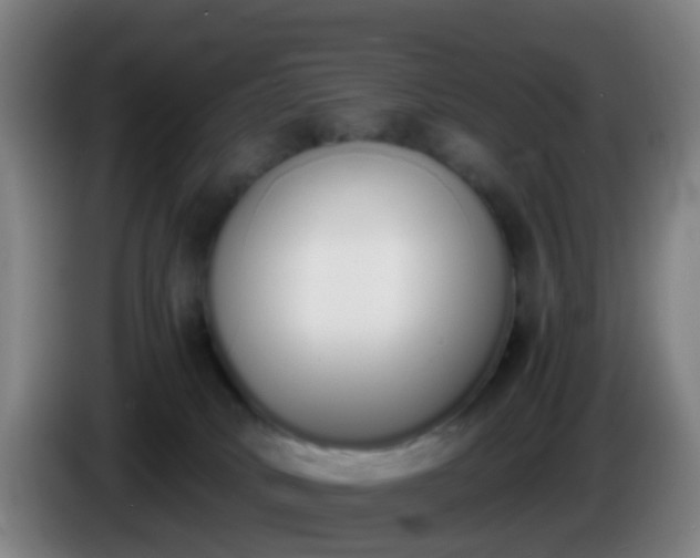 X0000086110034200703301246