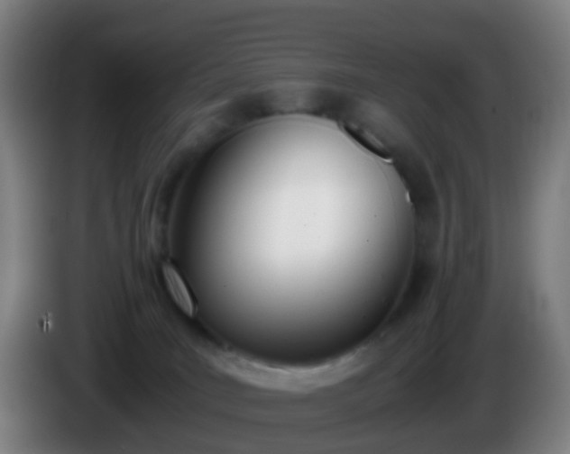 X0000086110035200703301246