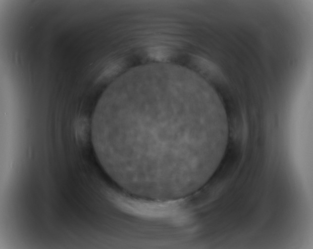 X0000086110036200703301246