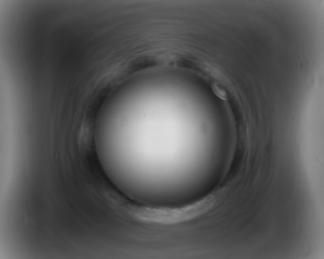 X0000086110037200703301246