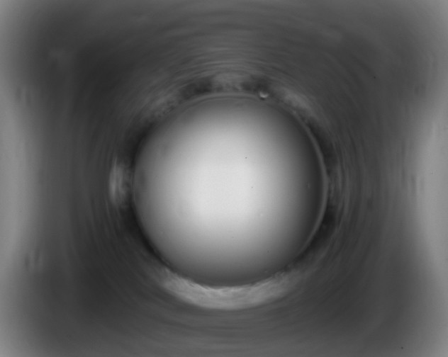 X0000086110038200703301246