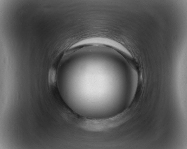 X0000086110041200703301246