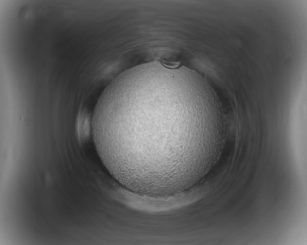 X0000086110042200703301246