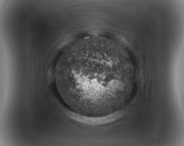 X0000086110043200703301246