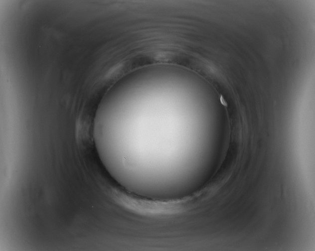 X0000086110044200703301246