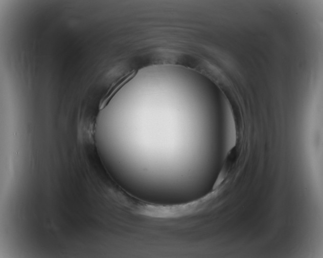 X0000086110045200703301246