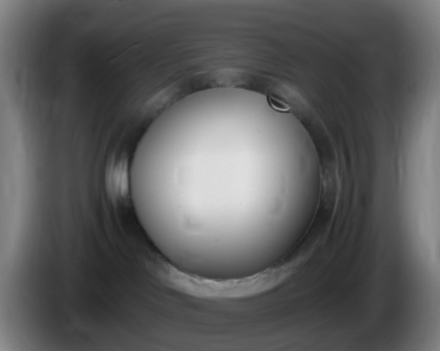 X0000086110046200703301246