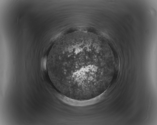 X0000086110047200703301246